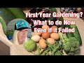 First Year Gardening? What to Do Now Even if it Failed
