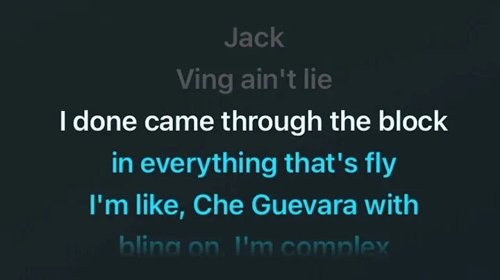 Public Service Announcements - Jay-z (Karaoke)