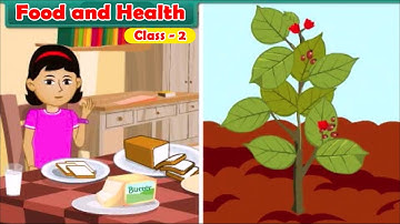 Food and Health | Class 2 | Science | CBSE | ICSE | FREE Tutorial For | Kids | Academia Zone