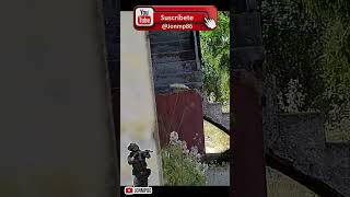 Airsoft Eliminacion escudo #airsoft #airsoftcqb #airsoftshorts #airsoftvideos #warzone #military