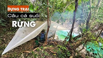 Câu Cá Suối Trong Rừng, Dựng Trại Sinh Tồn Tìm Thức Ăn Và Qua Đêm | Stream Fishing In The Forest