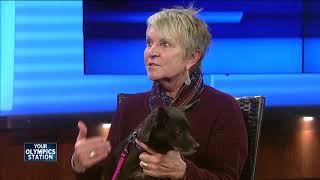 Ask the Expert: Keep your pets safe in the cold