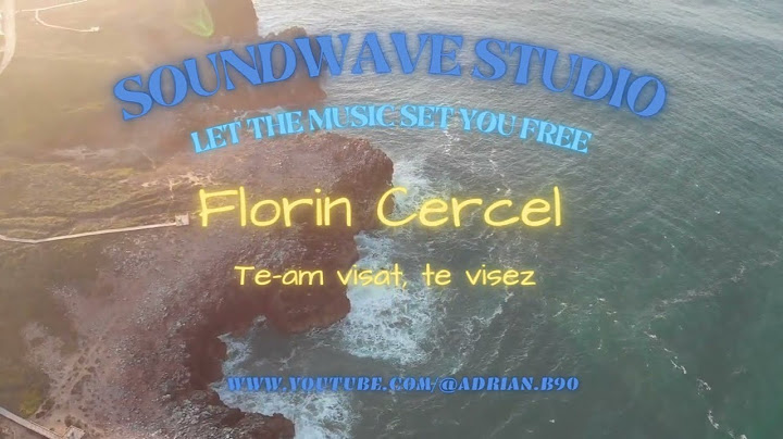 Florin Cercel   Te-am visat te visez live Karaoke