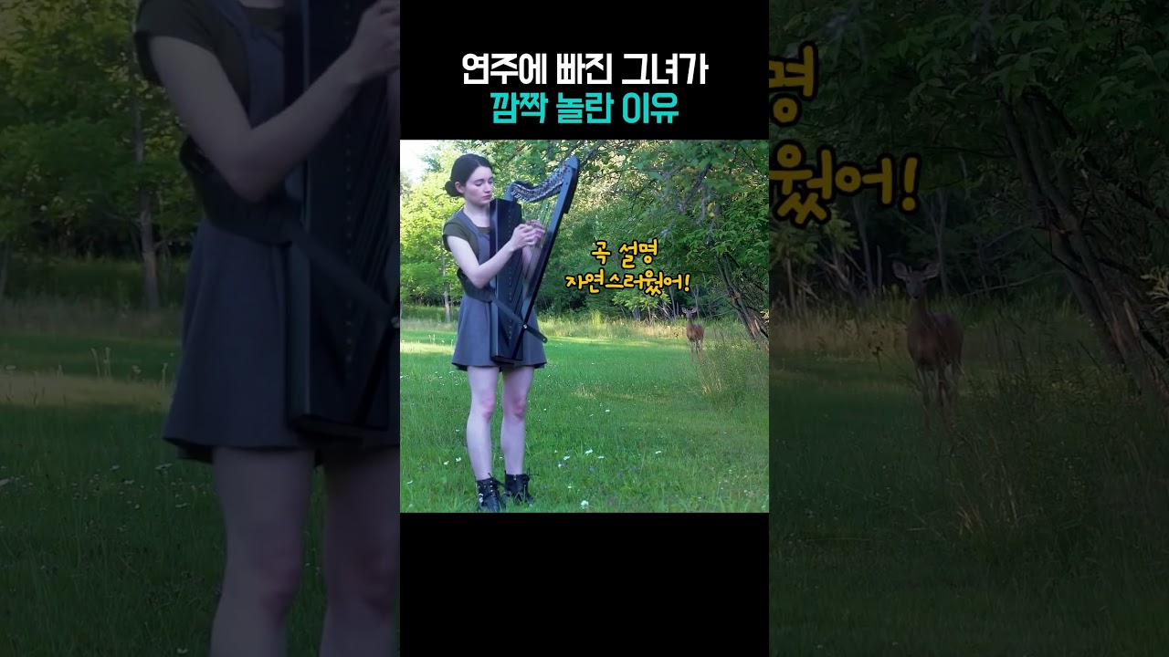 숲속에서 하프를 연주하자 벌어진 일 #직장인공감