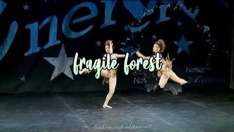 Outro for Fragile Forest *too proud for my request channel*