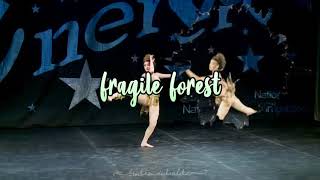 Outro for Fragile Forest *too proud for my request channel*