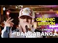 CHEHON - BANGARANG / HAPPY FLOWER LIVE 🌼