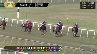 Santa Anita + Tampa Bay Downs Full Race Replays + Results | March 22, 2026