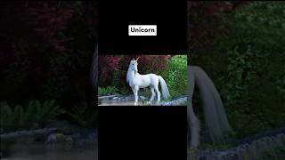 Mythical Creature Caught On Camera... 🔥🔥 (scary tiktok) #shorts #viral #trending #tiktok #scary