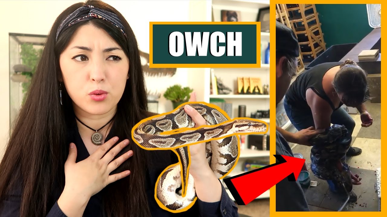 PET YouTuber Reacts To AWFUL Viral Snake Handling Video | EMZOTIC
