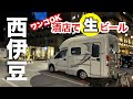 静岡県【RVパーク】春の伊豆旅!車中泊で楽しむ 温泉&食堂&ワンコと角打ちの3日間