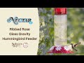Ribbed rose glass gravity hummingbird feeder  nectar bird feeders  natures way bird products