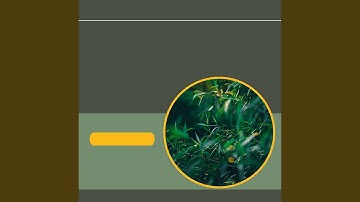 Mind-blowing Backdrops for The Best Road Trips