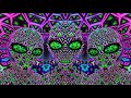 thumbnail img1x1