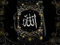 #mahshallah Allah Allah Allah Allah Allah Allah Allah ❤️‍🩹❤️😭 #sharpologist #blackflag #crim