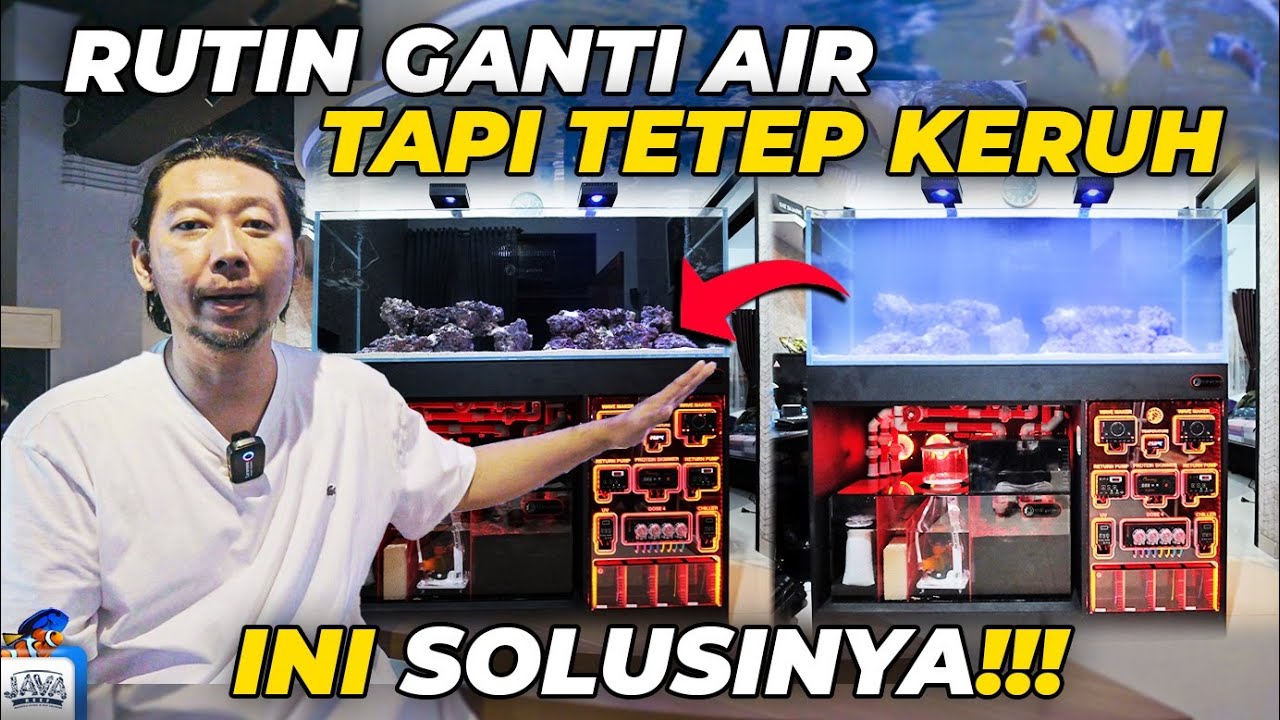 KENAPA AKUARIUM BUTEK TERUS?!