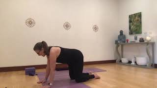 Gentle Yoga Level 1 with Dana 2020-4-2 screenshot 1