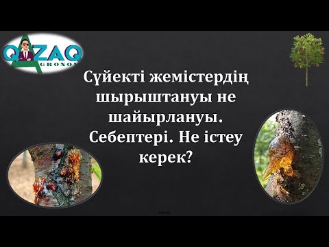 Бейне: Алхоры ағаштарының мозаикалық вирусы – мозаикалық аурумен қара өріктерді емдеу