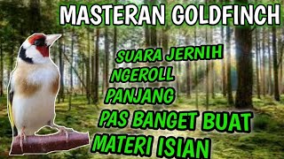 GOLDFINCH GACOR || BURUNG GOLFINCH NGROLL SUARA JERNIH MASTERAN PALING JITU @bangbhulux