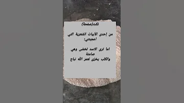 لغة الصت للاقوياء 