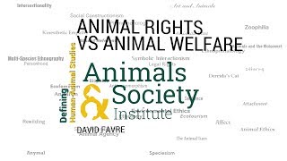 Defining Animal Rights vs. Animal Welfare with David Favre - ASI's Defining Human-Animal Studies 05