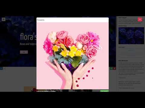 video-0