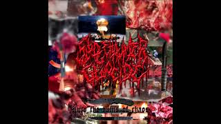 Sledge Hammer Genocide - Into the Ruins of Chaos (Slamming brutal deathmetal / Goregrind )