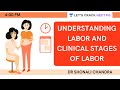 Understanding labor  clinical stages of labor  target neet pg 2021  dr shonali chandra