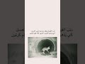 ذئب القيوط ينتظر صاحبه غرير العسل كي يذهبوا للصيدالمشهد كأنه فيلم كرتون