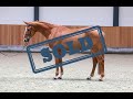 (SOLD) Toots schooling