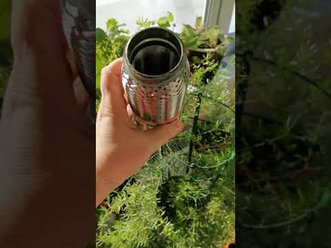 ФФ3+.Купил гофру BOSAL,