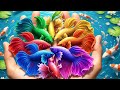 Catch beautiful aquarium fish in giant colorful eggs, baby turtles, carp🐠 🐠 🐠