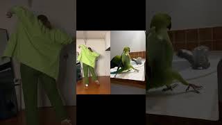 Thumbnail for Who copied who?