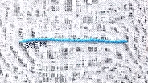 How to Stem Stitch