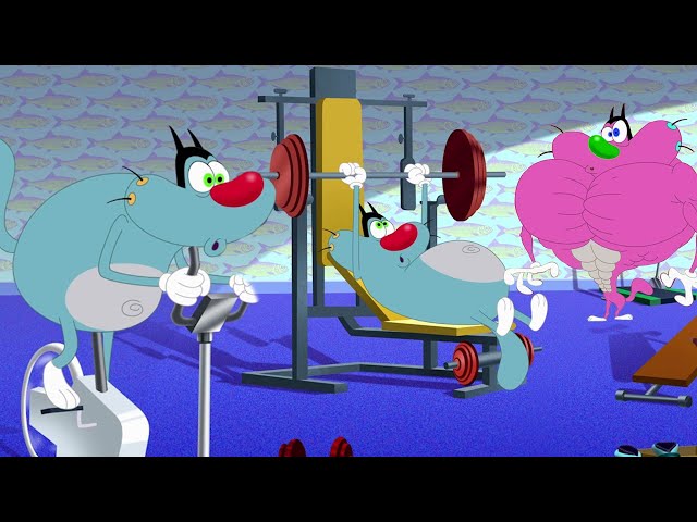 Oggy and the Cockroaches 💪 OGGY THE BODYBUILDER 💪 - Full Episodes HD class=