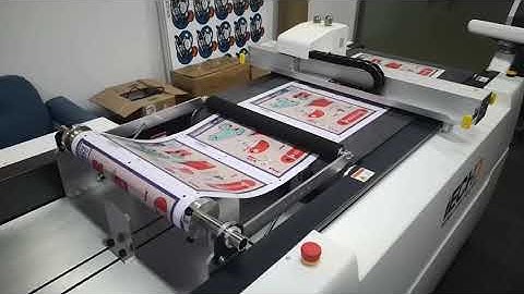 IECHO PK with roll materials cutting system