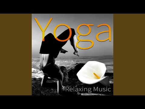 Yoga - Meditation Relaxation