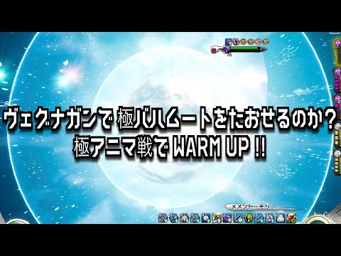 【メビウスFF】ヴェグナガンで極バハムートを倒せるのか？極アニマで試験運用！MobiusFF