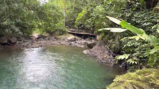 Водопад Увита в Коста Рике