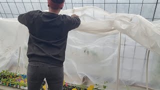 So Many Seedling, So Little Time | Vlog #gardening