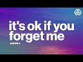 Astrid S - It&#39;s Ok If You Forget Me (Lyrics)