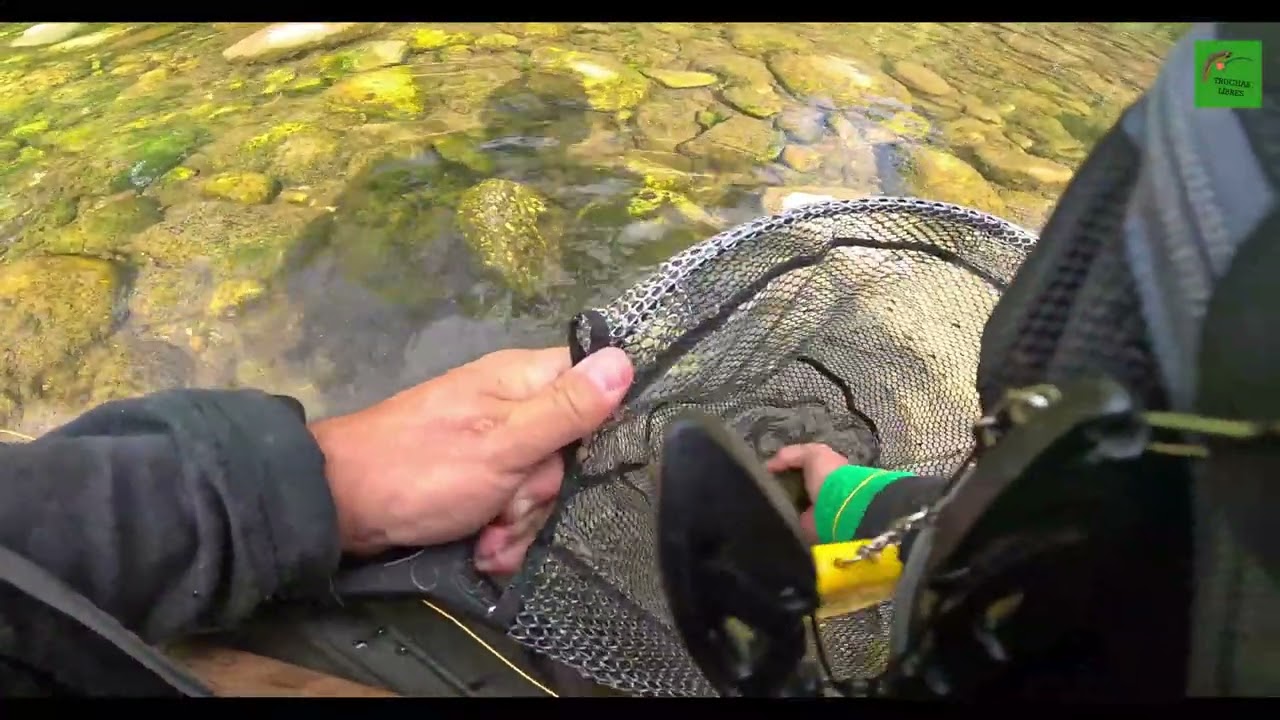 PROYECTO 78 | COTO DE ANGUIANO ZONA 1 🛖 RÍO NAJERILLA