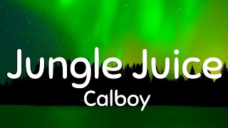 Calboy- Jungle Juice (Lyrics)