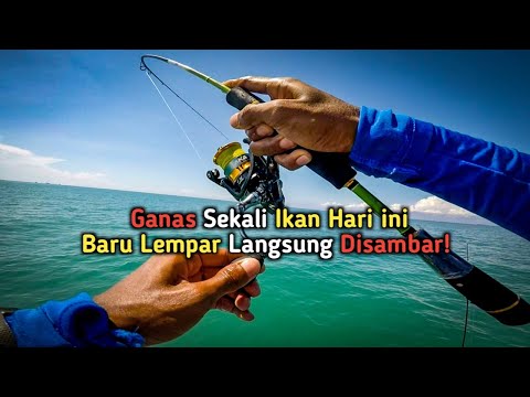 Mantap!! Dapat Sarang Ikan Lezat di Spot Karang Dangkal // Lempar Langsung Strike!