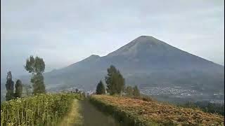 Story wa Gunung Sumbing | Sensasi ojek roller coaster sumbing via garung