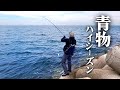 トップウォーターで楽しむ青物ハイシーズン。