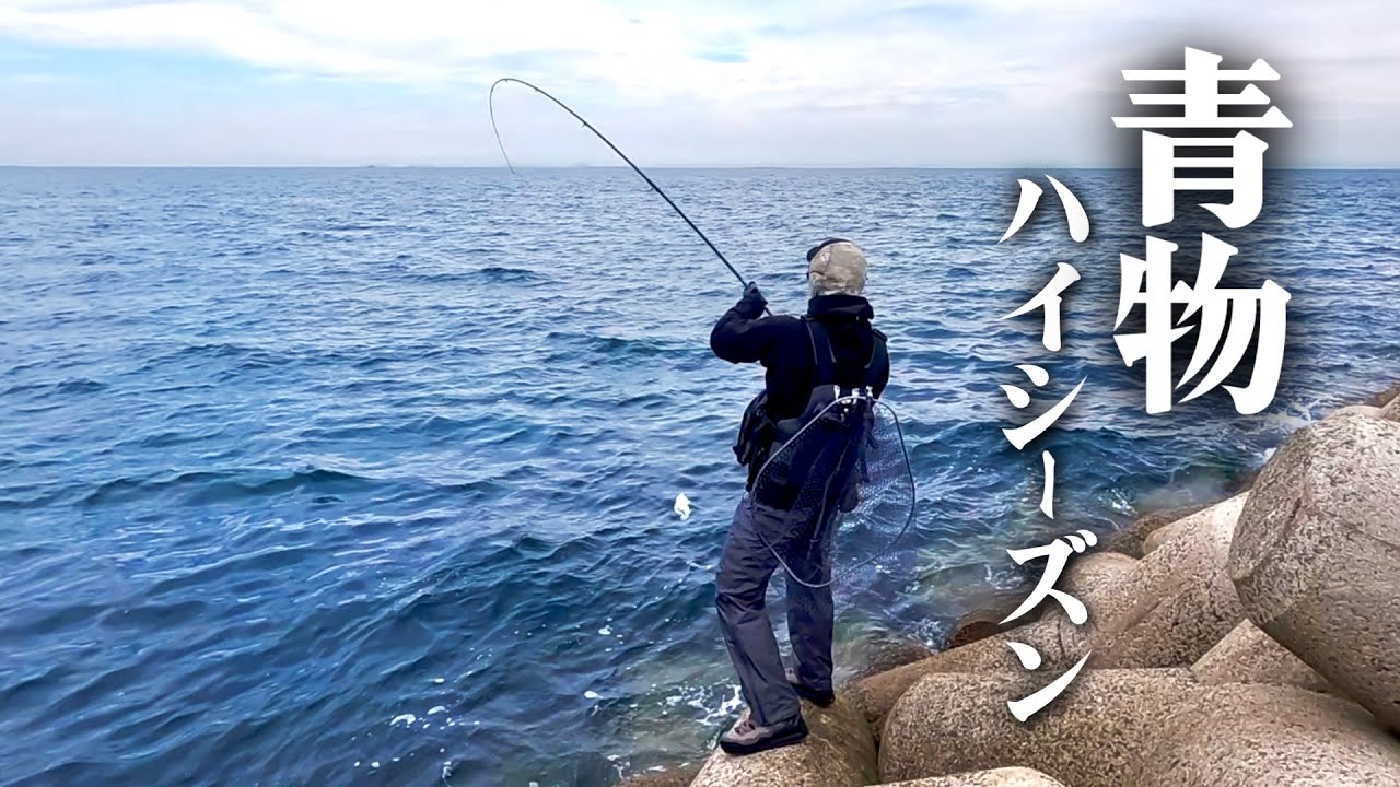 トップウォーターで楽しむ青物ハイシーズン。