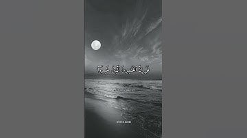 تلاوه خاشعه ارح قلبك وسمعك الشيخ ماهر المعيقلي حالات