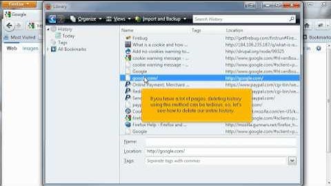 FireFox - How to manage history and cache in mozilla firefox