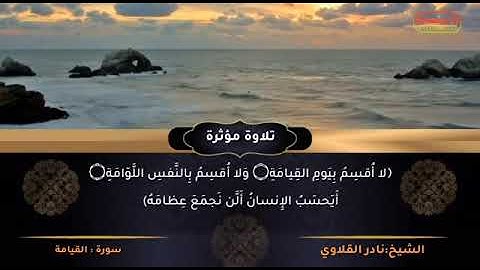تلاوه مؤثرة من سورة القيامه للشيخ نادر القلاوي